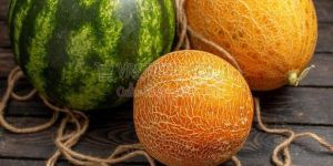 Fresh Muskmelon