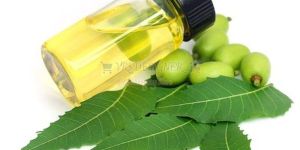 Organic Cold Pressed Neem Oil