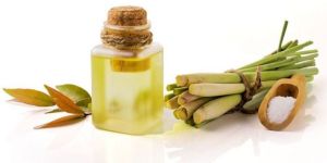 Citronella Oil