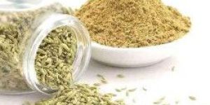Fennel Powder