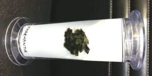 Specimen Jars Marchantia Hantia, 30 Ml