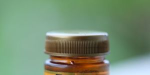 50 GM Natural Blossom Honey