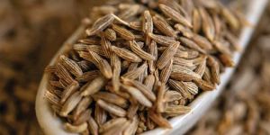 Cumin Seeds