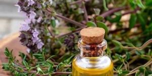 Thyme Oil