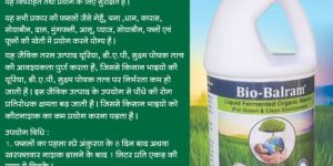 Liquid Fermented Organic Manure