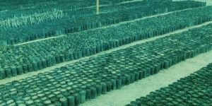 Organic Farming Services