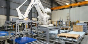 Robotic Palletizing Solutioton