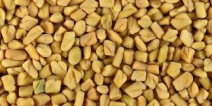 Fenugreek Seeds