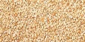 White Sesame Seeds