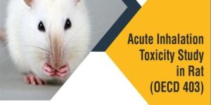 Acute Inhalation Toxicity Study