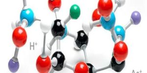 Implantation Service