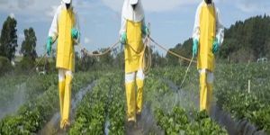 Pesticide Residue Analysis Service