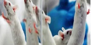 Pharmacological Study Services