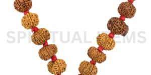 Rudraksha Sarvasiddhi Kantha Mala
