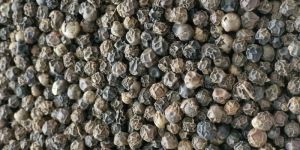 Black Pepper