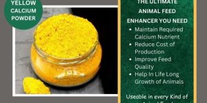 Yellow Lime Stone Powder