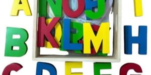 Wooden Educational Toy