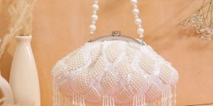 half frame pearl tassels designer clutch