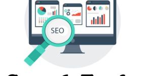 Search Engine Optimization Service