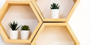 Decorative Wall Shelves