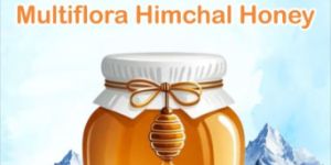 HIMACHAL MULTIFLORA HONEY