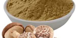 Mushroom Powder