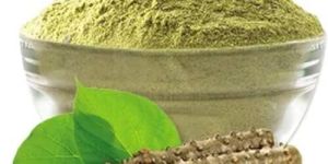 Dry Guduchi Extract Powder