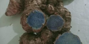 Organic Black Turmeric