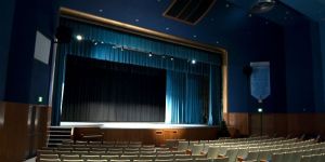 Audio System Installation Service