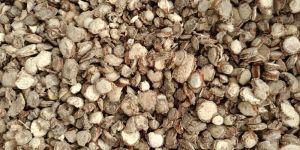 Zedoary Roots (Kapurkachri)