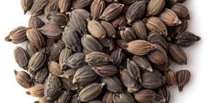 Black Cardamom