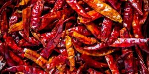 Guntur Dry Red Chilli