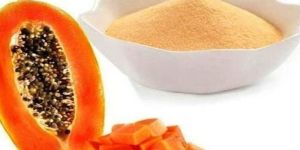 Dried Papaya Powder