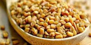 Ayurvedic Extract Powder