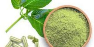 Gymnema Extract