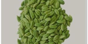 Green Cardamom
