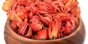 Red Nutmeg Mace Flower