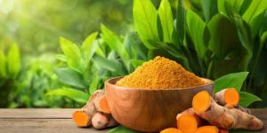 Dried Turmeric Finger