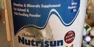 Multivitamin Supplements