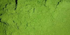 Organic Dry Moringa Leaves Powder