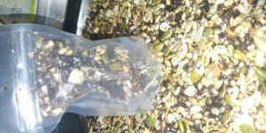 Homemade Dryfruits Protein Bar