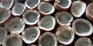Dry Coconut
