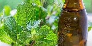 Mentha Piperita Oil