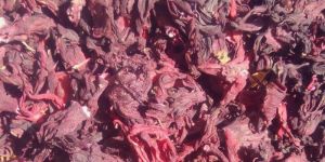 Dried Hibiscus Flower