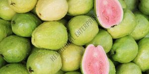 Fresh Guava