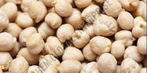 White Chickpeas Pulses