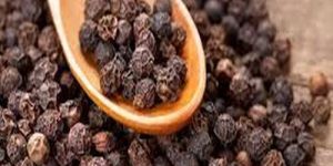 Organic Black Pepper Seeds