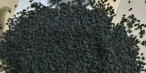 Nigella Sativa Seeds