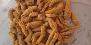 Dried Turmeric Finger