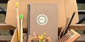 Corrugated Carton Boxes